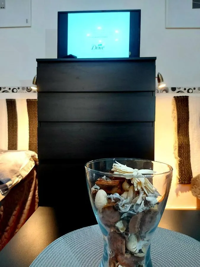 Gecko Centrum Studio Apartman 布达佩斯 匈牙利
