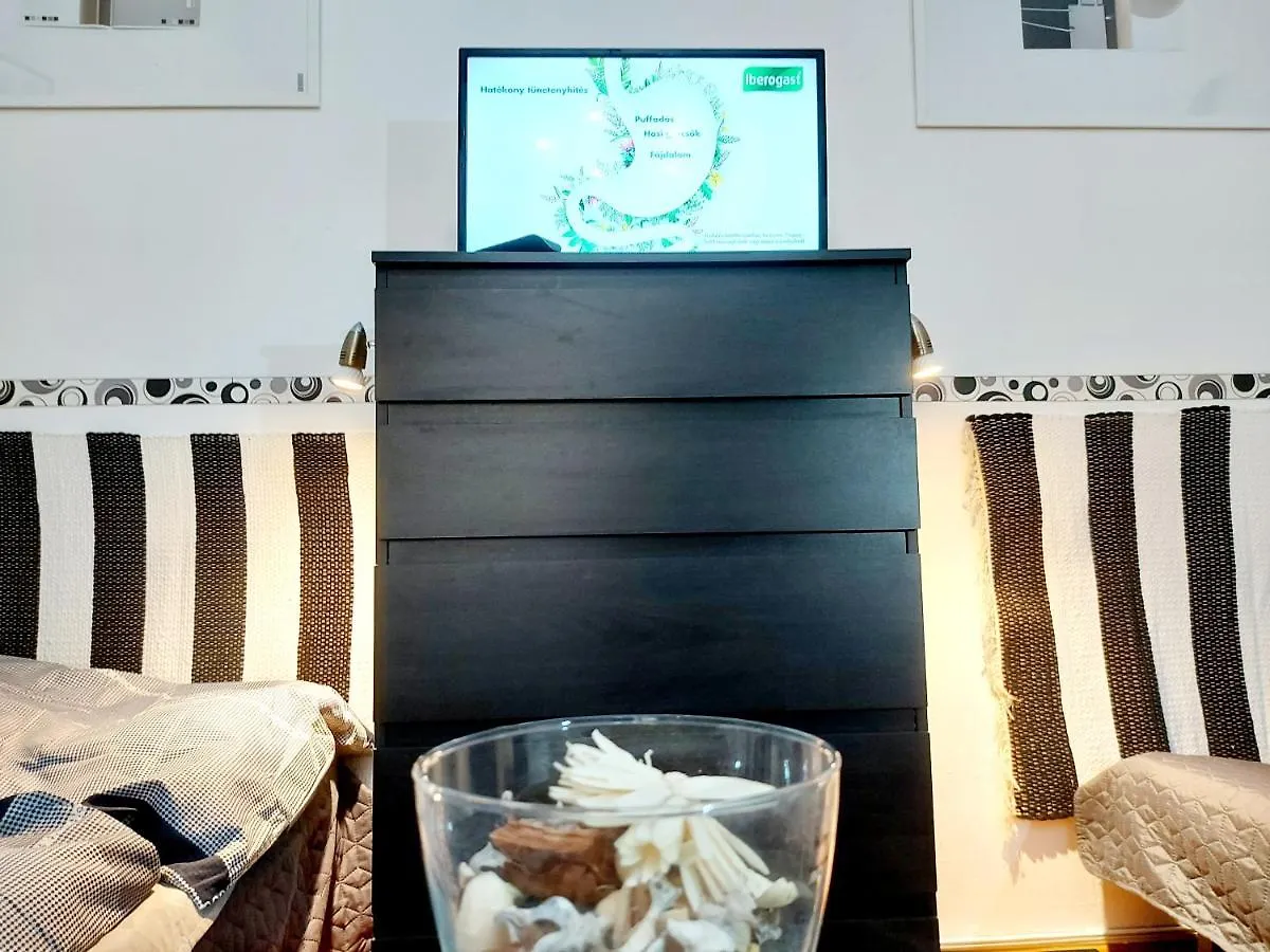 Gecko Centrum Studio Apartman 布达佩斯 公寓